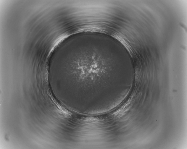 X0000094941115200712201109