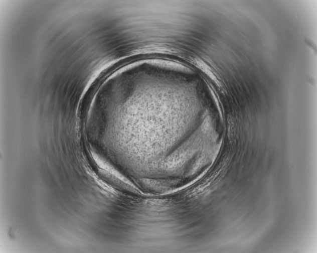 X0000094941116200712201109