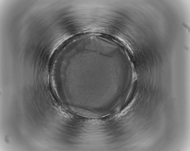 X0000094941117200712201109