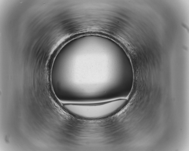 X0000094941118200712201109