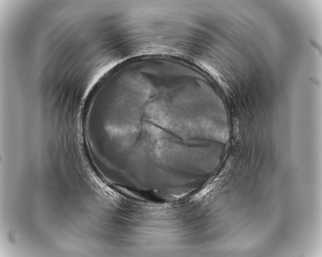 X0000094941120200712201109