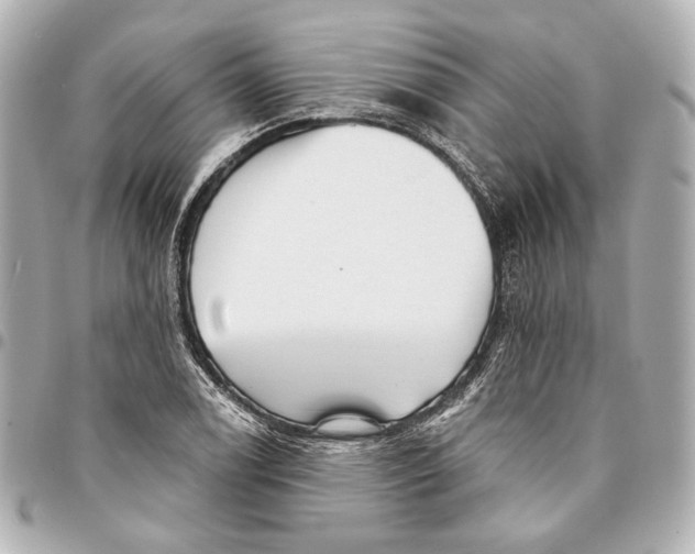 X0000094941122200712201109