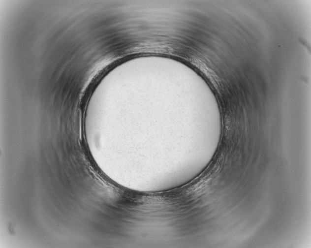 X0000094941123200712201109