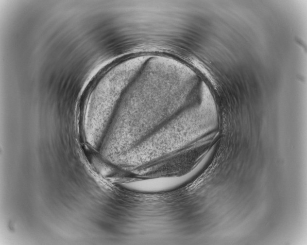 X0000094941124200712201109