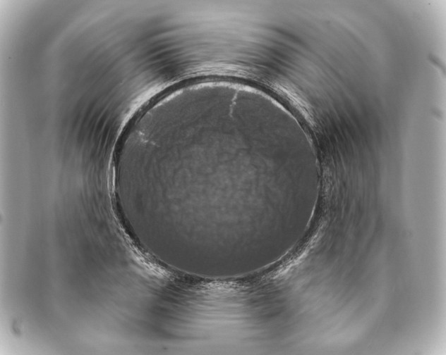 X0000094941125200712201109