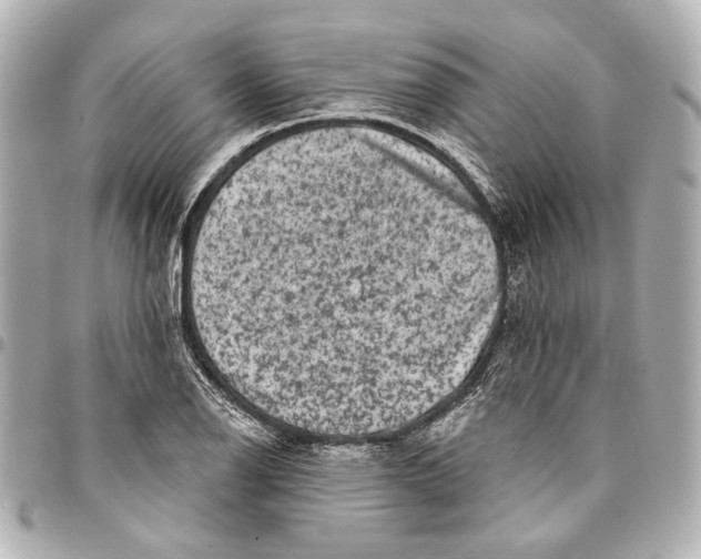 X0000094941126200712201109