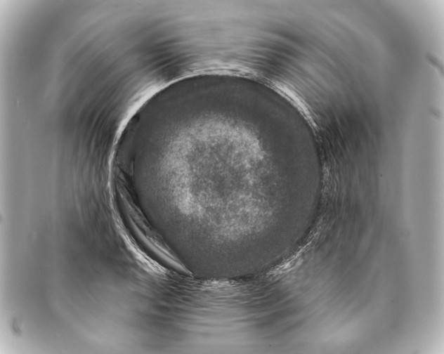 X0000094941128200712201109