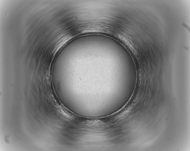 X0000094941129200712201109