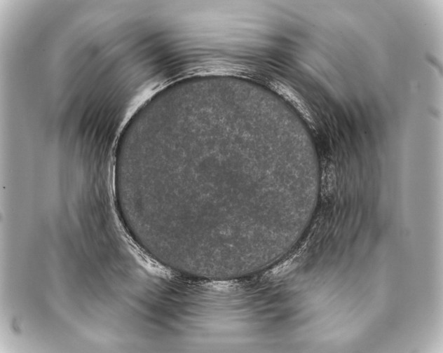 X0000094941130200712201109