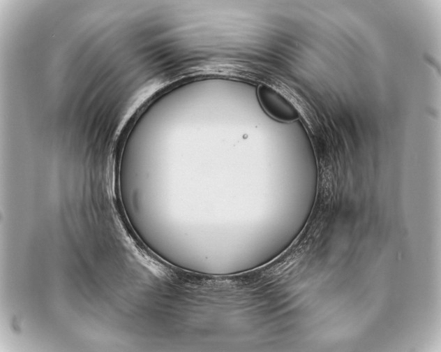 X0000094941131200712201109