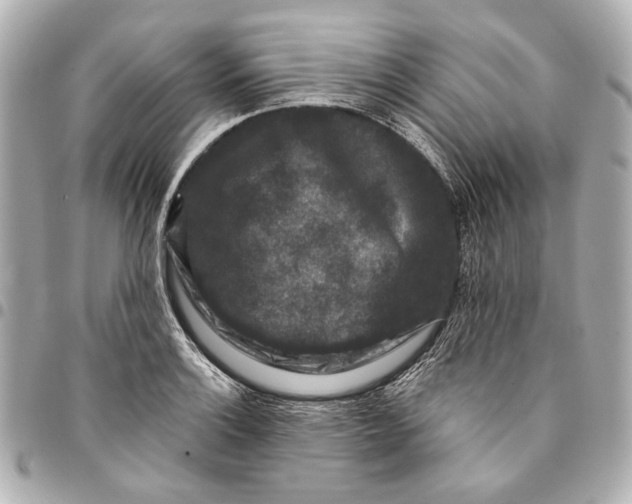 X0000094941132200712201109