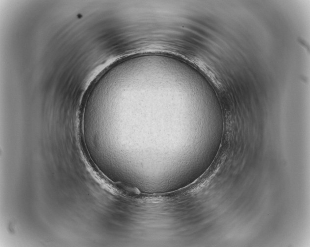 X0000094941134200712201109