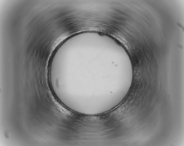 X0000094941135200712201109