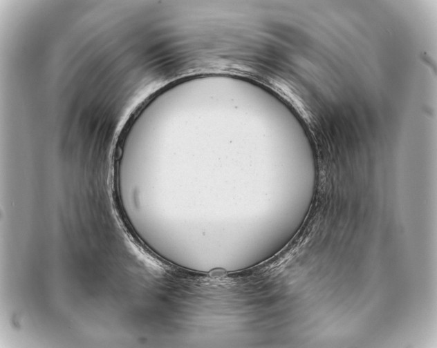 X0000094941136200712201109