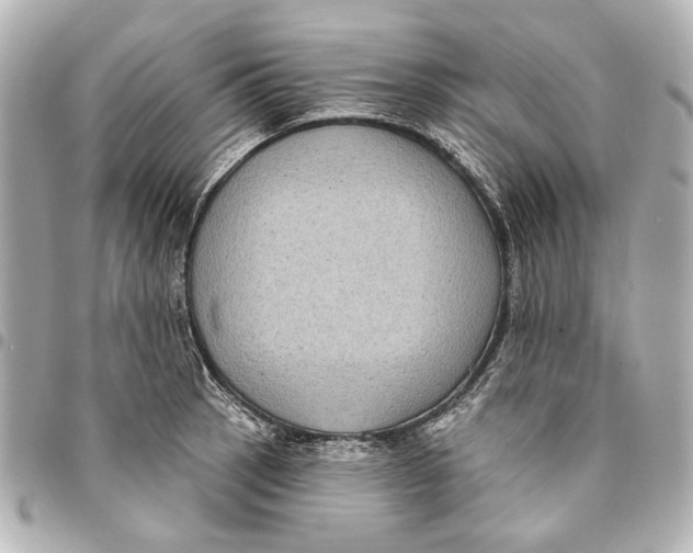 X0000094941137200712201109