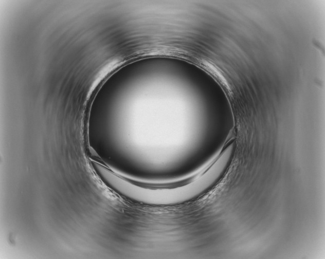 X0000094941138200712201109