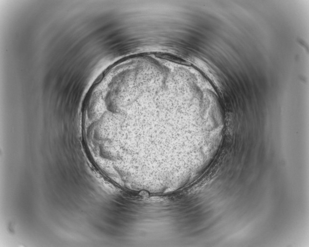 X0000094941140200712201109