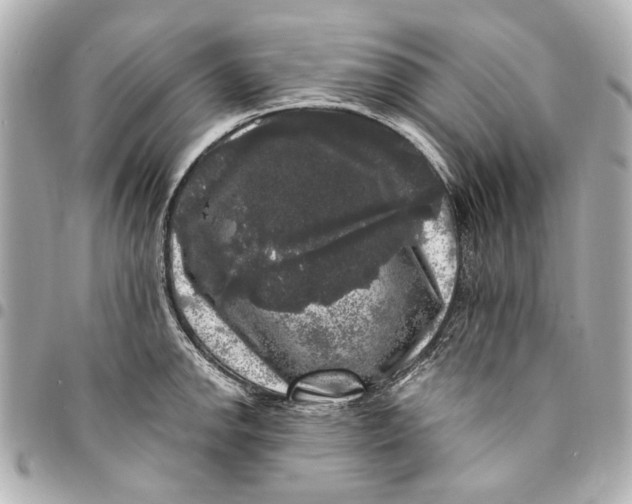 X0000094941142200712201109