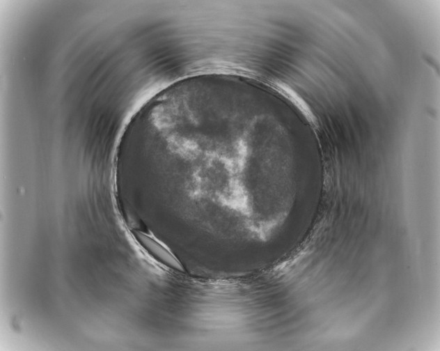 X0000094941144200712201109