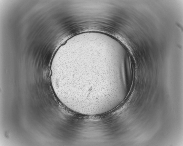 X0000094941145200712201109