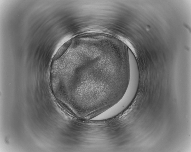 X0000094941146200712201109