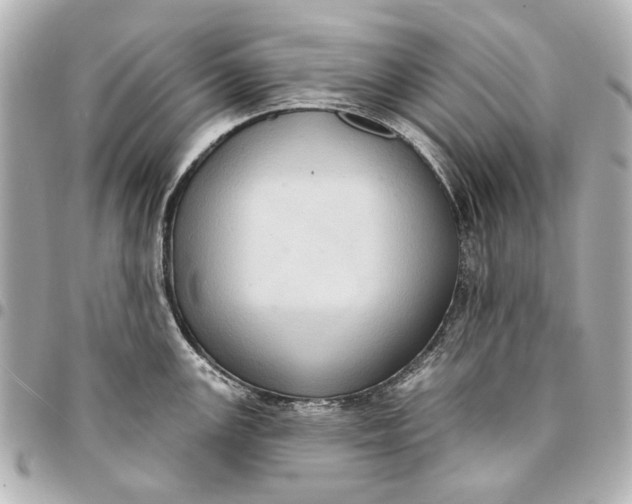 X0000094941147200712201109