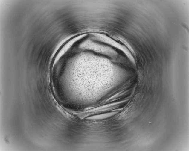 X0000094941148200712201109