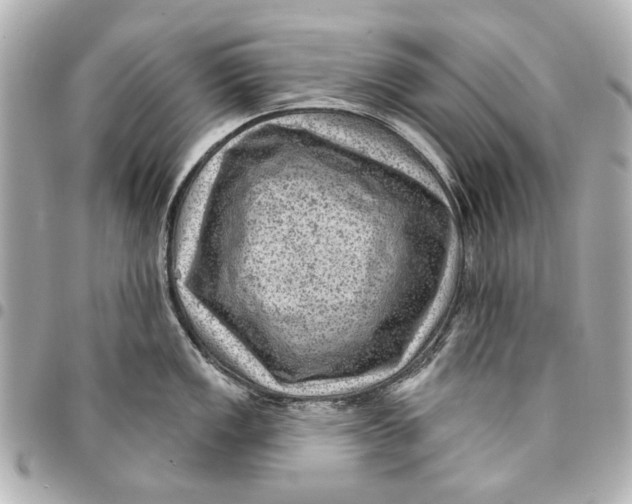 X0000094941149200712201109