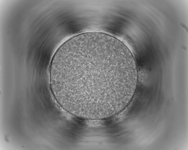 X0000094941150200712201109