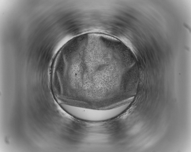 X0000094941151200712201109