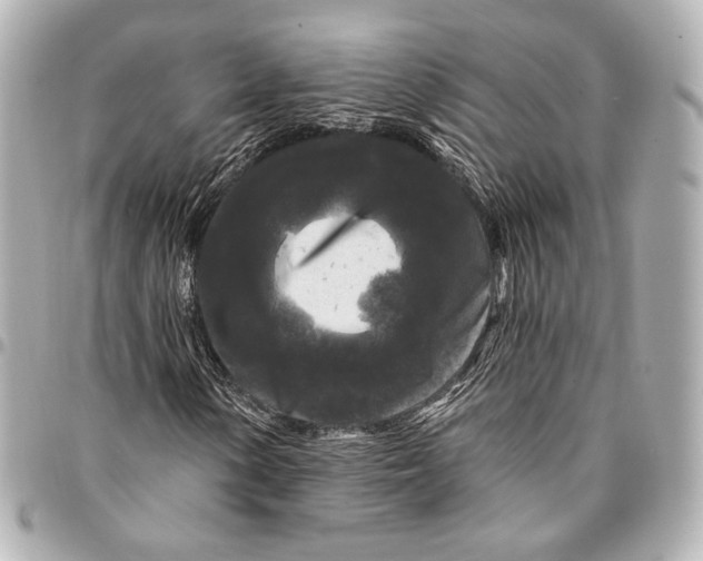 X0000094941154200712201108