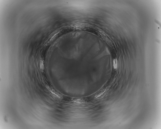 X0000094941155200712201108