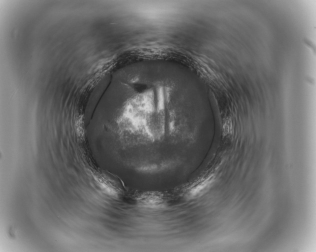 X0000094941156200712201108