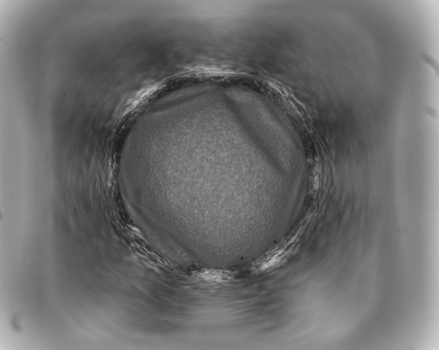 X0000094941157200712201108