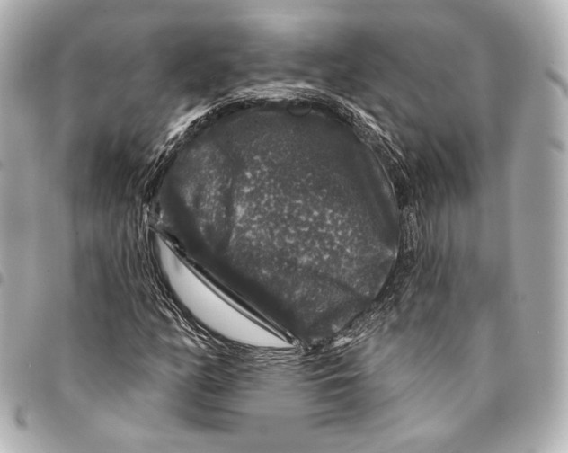 X0000094941158200712201108