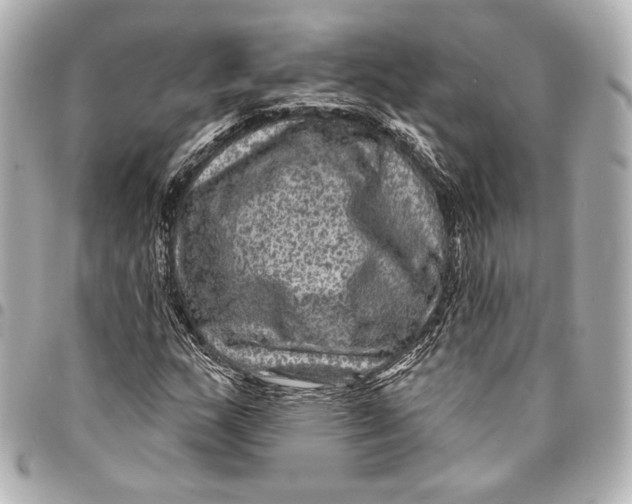 X0000094941159200712201108