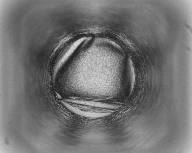 X0000094941160200712201108