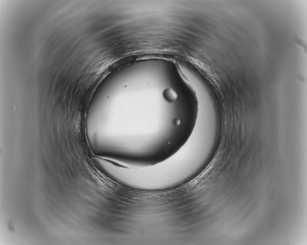 X0000094941161200712201108