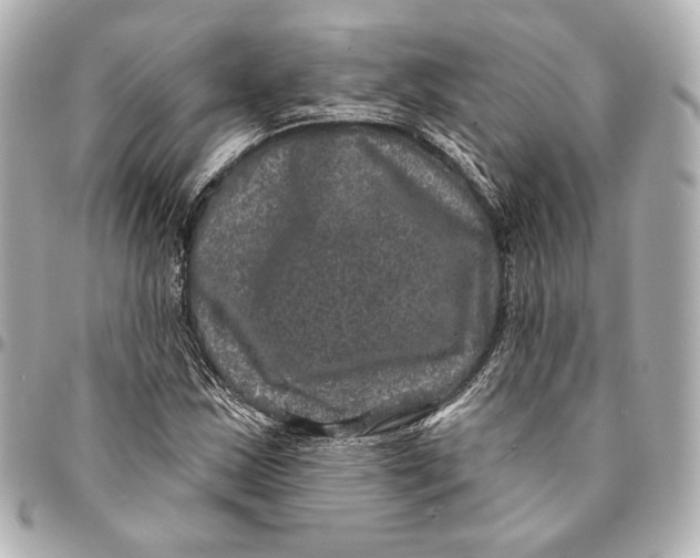 X0000094941163200712201108