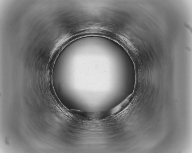 X0000094941164200712201108