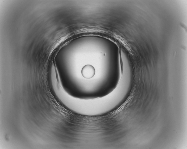 X0000094941165200712201108