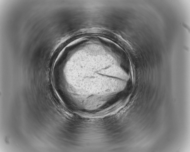 X0000094941166200712201108