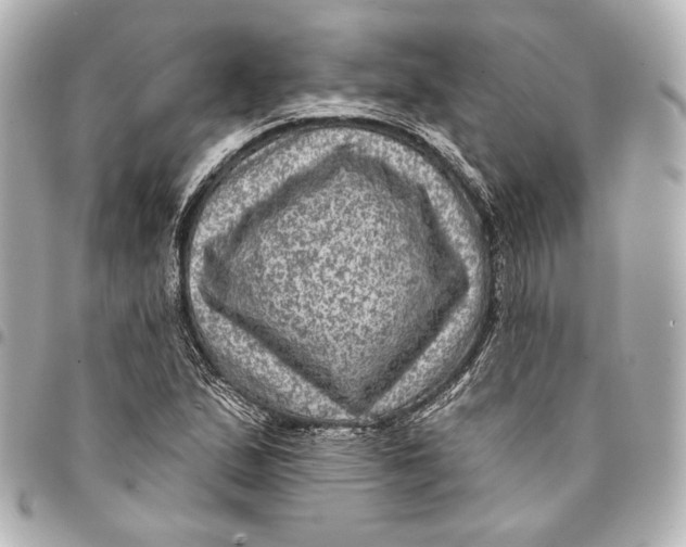 X0000094941167200712201108