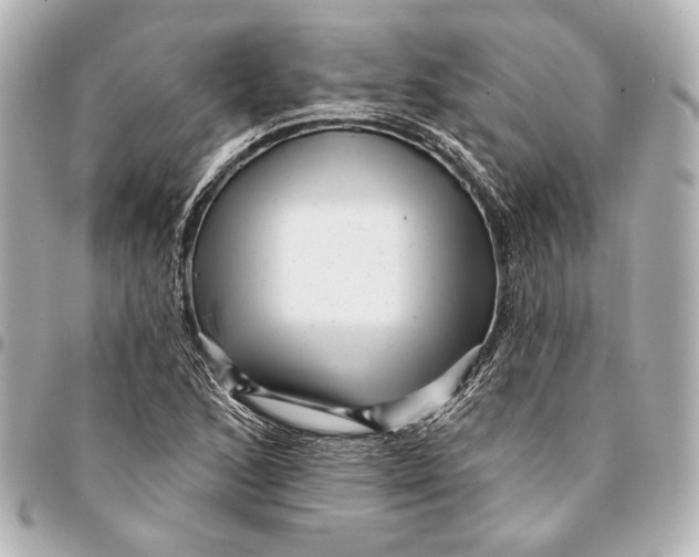 X0000094941168200712201108