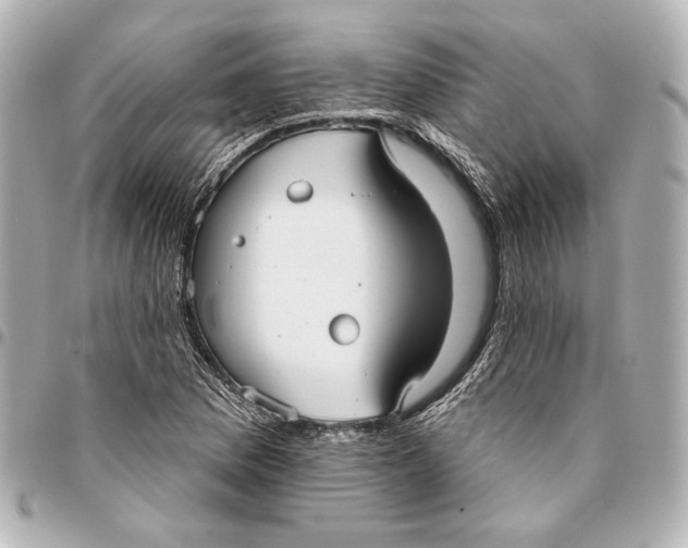 X0000094941169200712201108