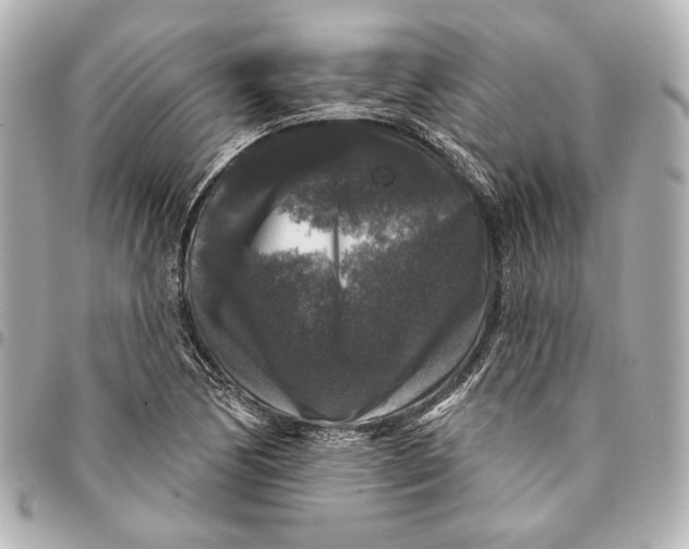 X0000094941170200712201108