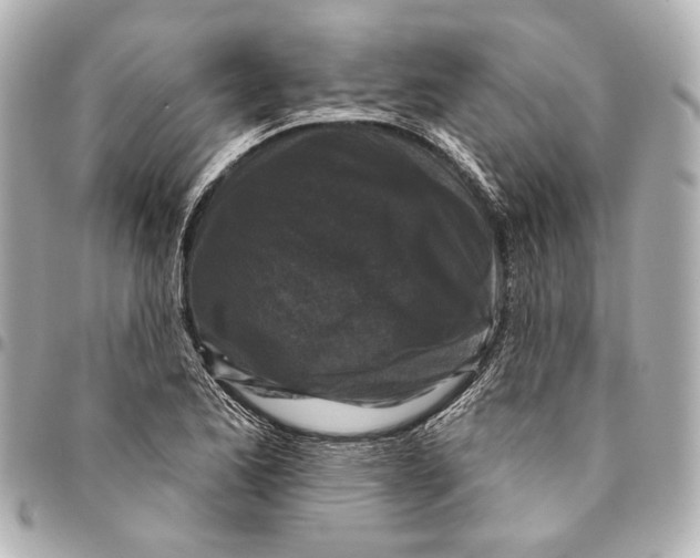 X0000094941173200712201108