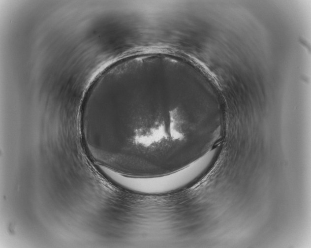 X0000094941174200712201108