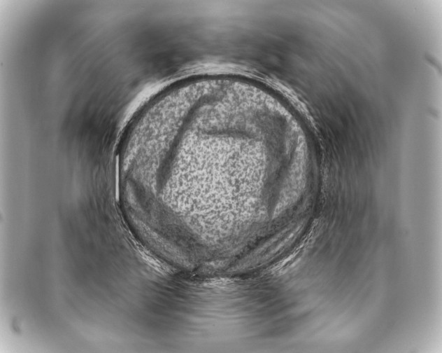 X0000094941175200712201108