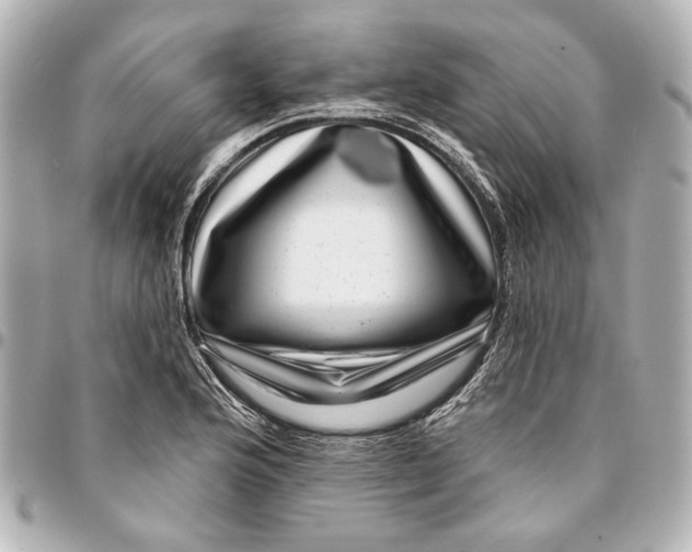 X0000094941176200712201108